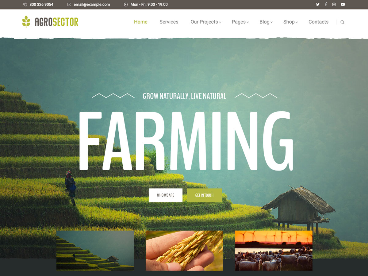 Agrosector – Agriculture & Organic Food Elementor WordPress Theme