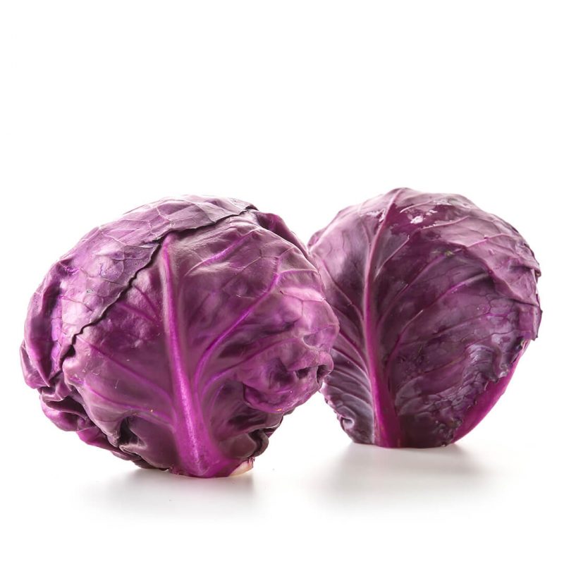 Purple cabbage