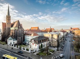 Fringilla malesuada urna vitae blandit for Sale.