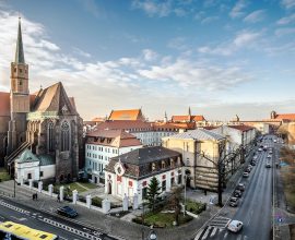 Fringilla malesuada urna vitae blandit for Sale.