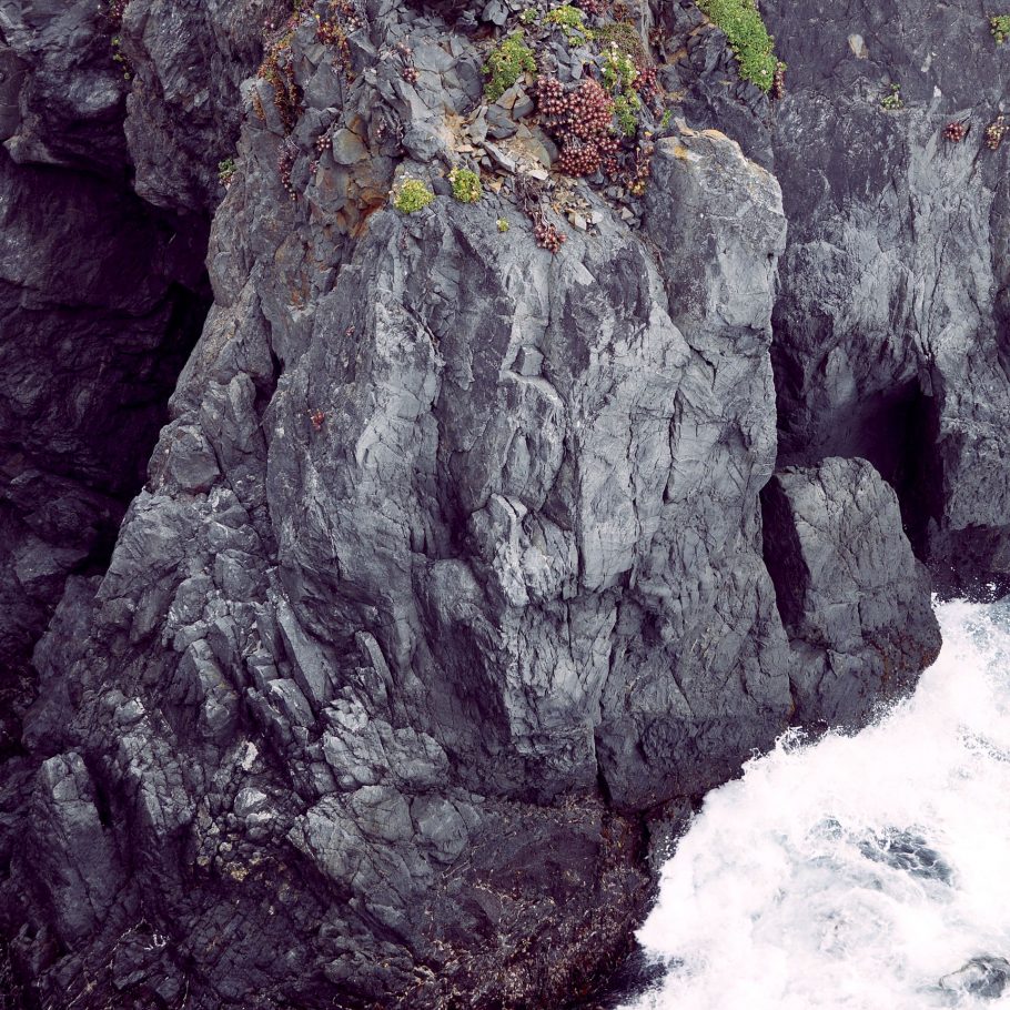 Eget Tincidunt Velit Ipsum