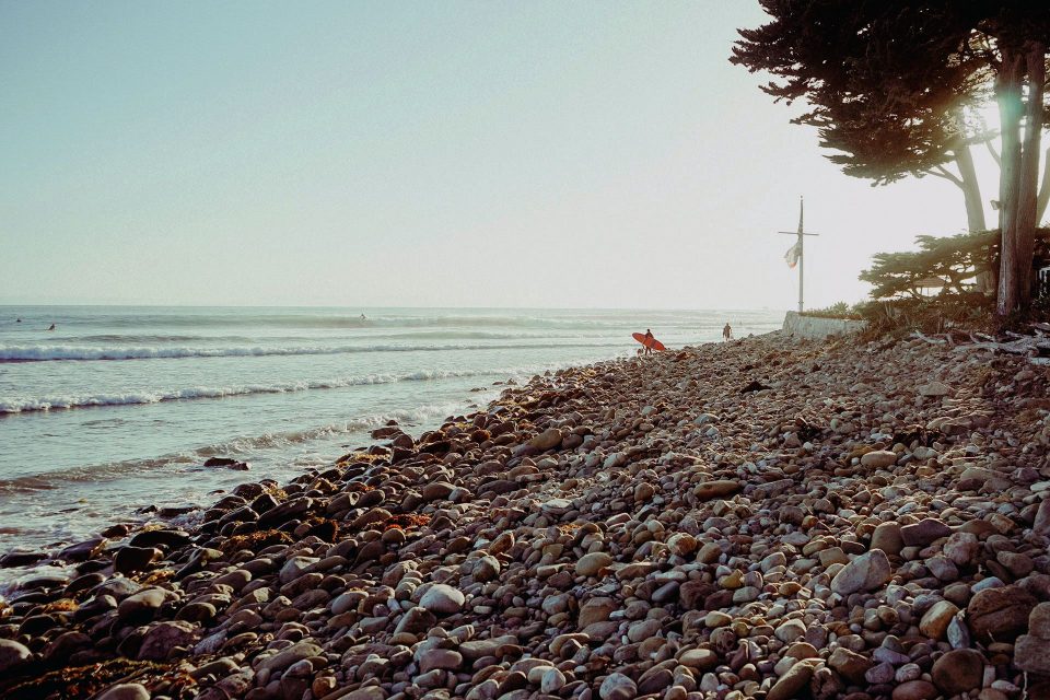 Efficitur Elit Malesuada