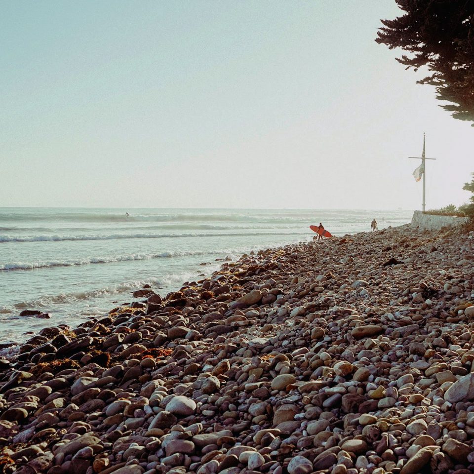 Efficitur Elit Malesuada