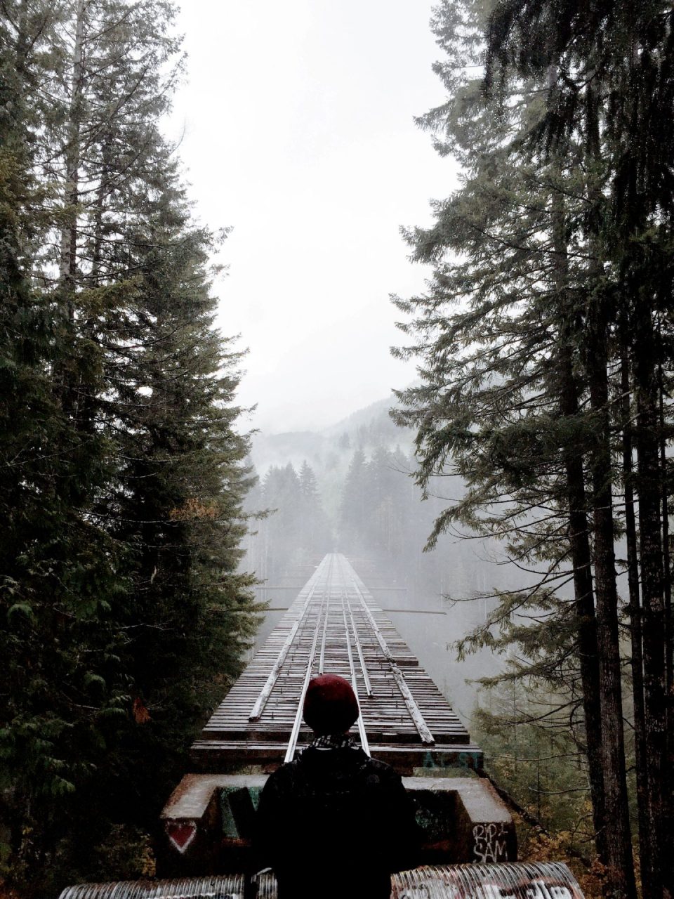 Eget Condimentum Consectetur