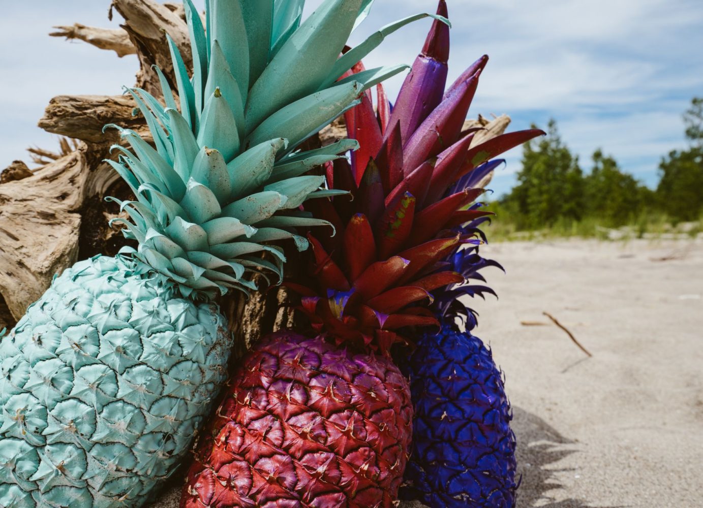 Colorful Pineapples