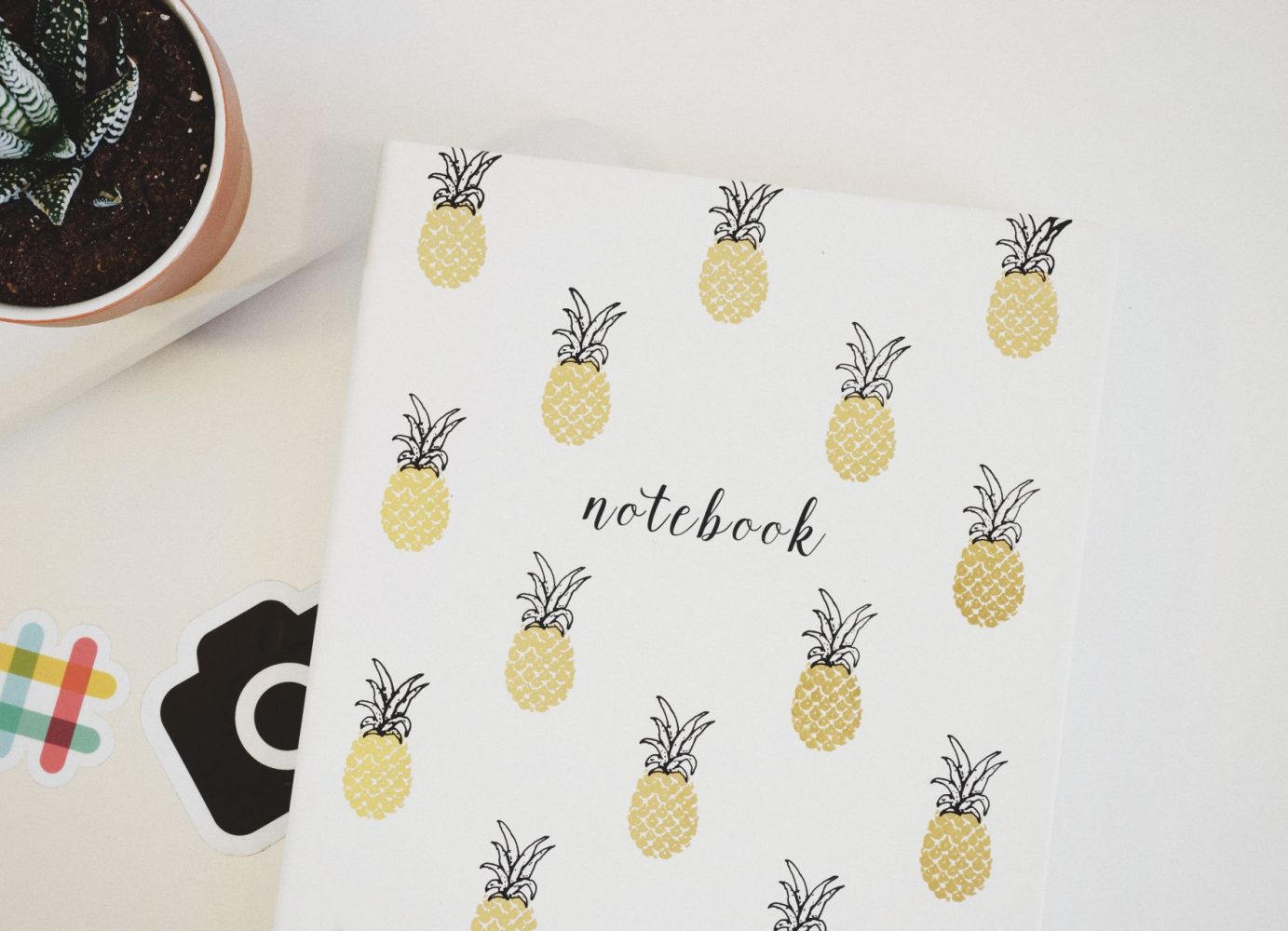 Pineapple Notebook
