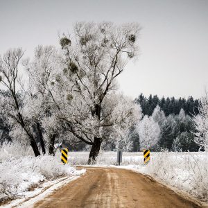Winter Road