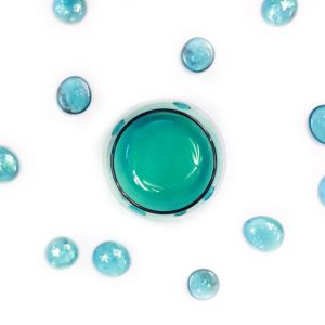 Mauris tempus diam non fringilla