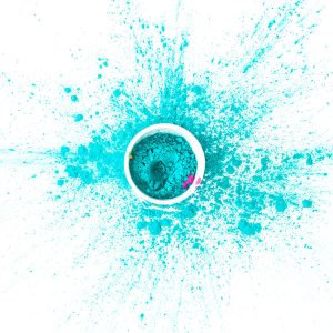 Pellentesque tortor ante