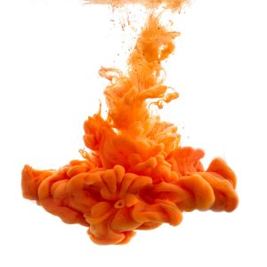 Sed mollis risus tellus