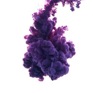 Sed rutrum arcu quis luctus