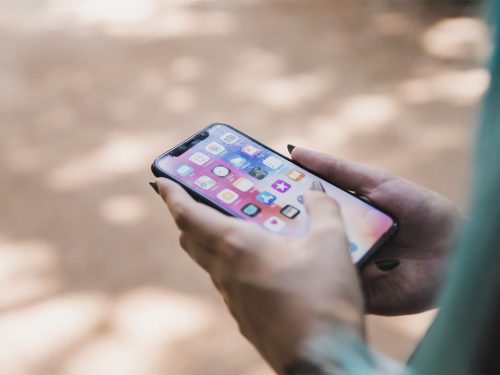 Delectus senserit volutpat