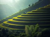 Amazing Nature